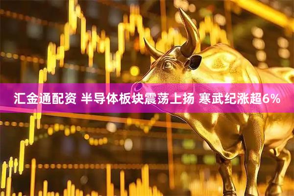汇金通配资 半导体板块震荡上扬 寒武纪涨超6%