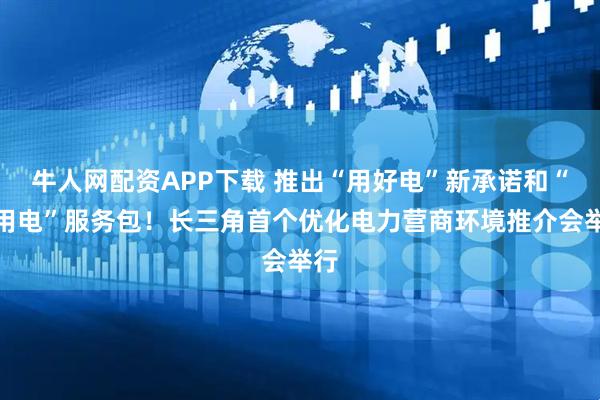 牛人网配资APP下载 推出“用好电”新承诺和“惠用电”服务包！长三角首个优化电力营商环境推介会举行